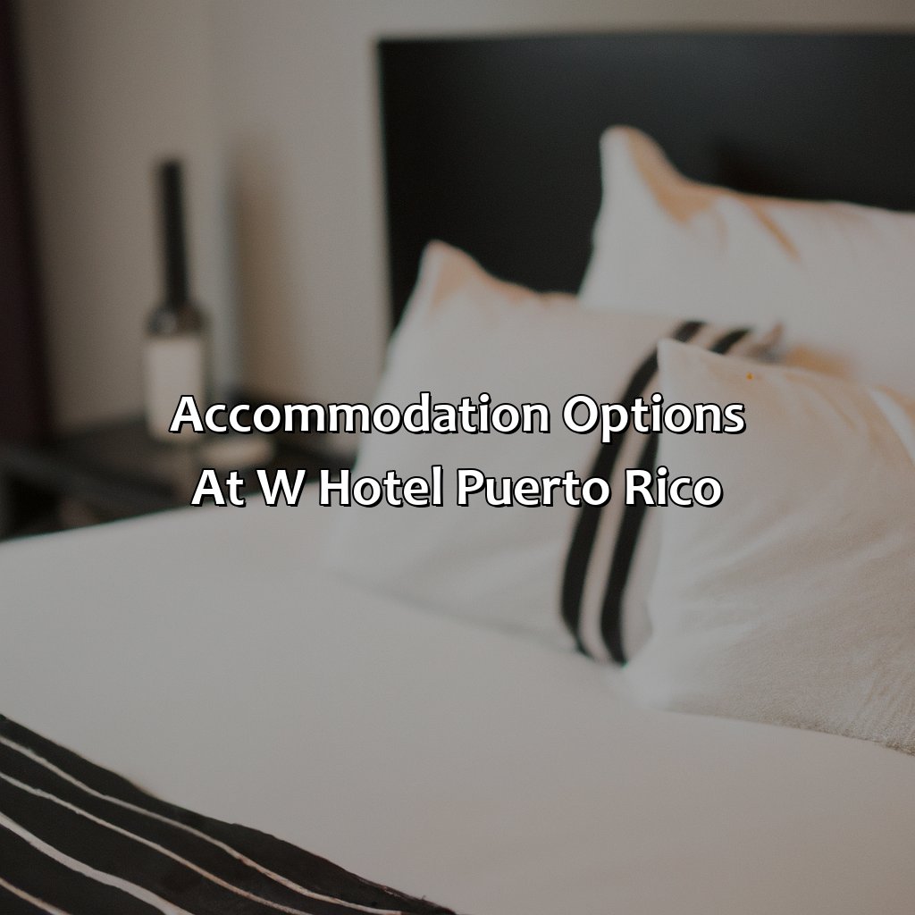 Accommodation options at W Hotel Puerto Rico-w hotel puerto rico, 