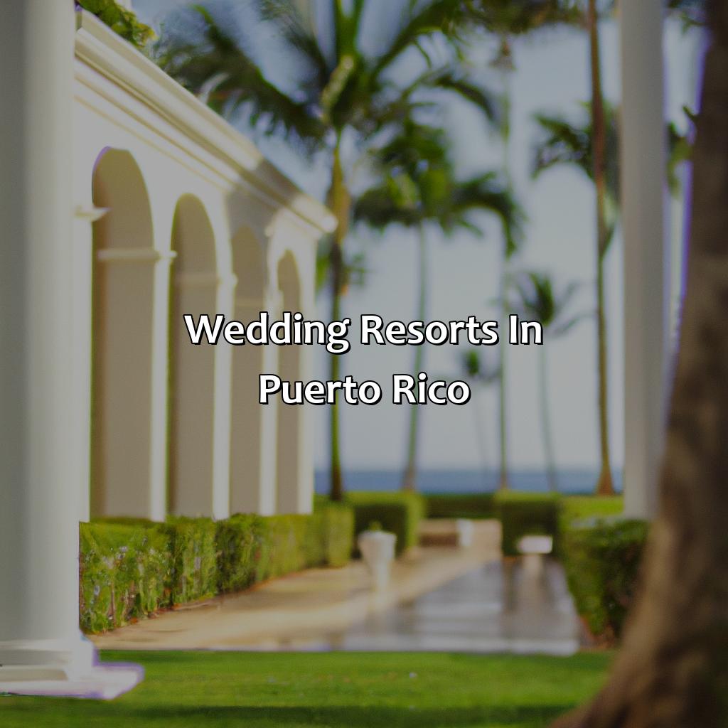 Wedding Resorts In Puerto Rico