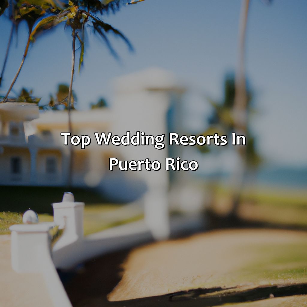 Top Wedding Resorts in Puerto Rico-wedding resorts in puerto rico, 
