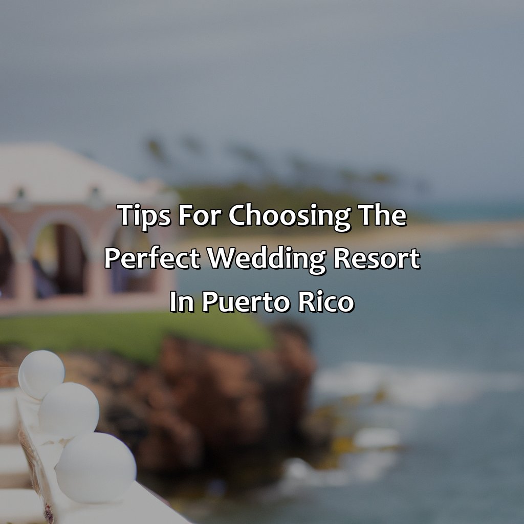 Tips for Choosing the Perfect Wedding Resort in Puerto Rico-wedding resorts in puerto rico, 