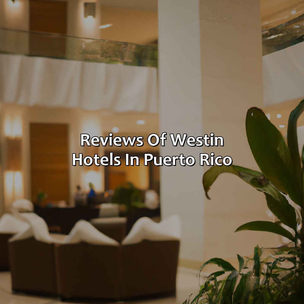 Reviews of Westin Hotels in Puerto Rico-westin hotels puerto rico, 