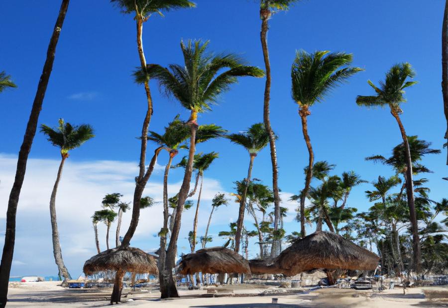 Excursions and attractions in Punta Cana 