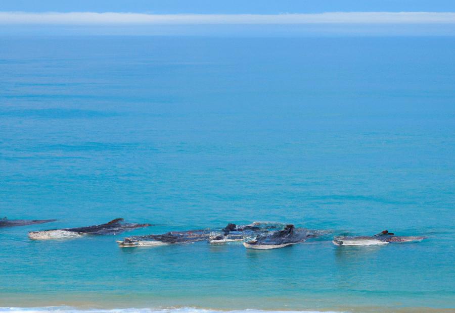 Understanding the causes of whale beachings 