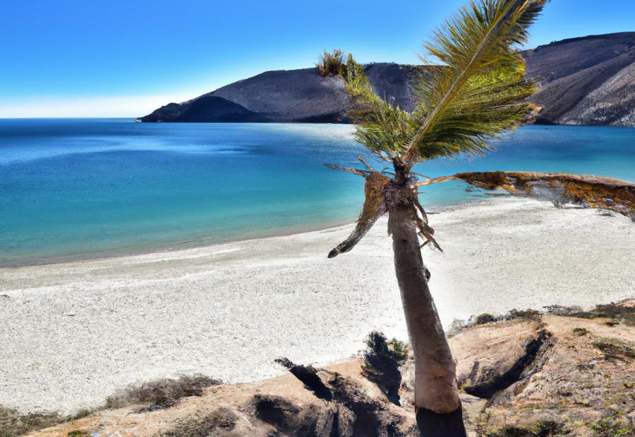 Conclusion: Baja California as a diverse and vibrant tourist destination 