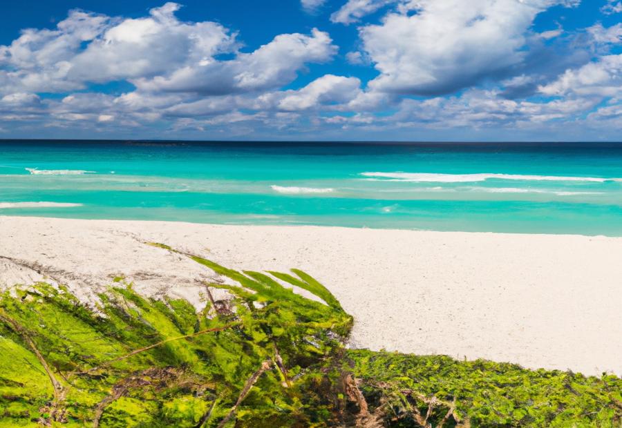Explore the most popular beaches in Cancun: 