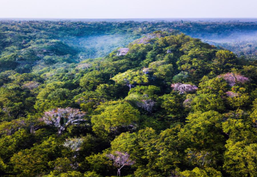 Discover Ancient Mayan Ruins: 