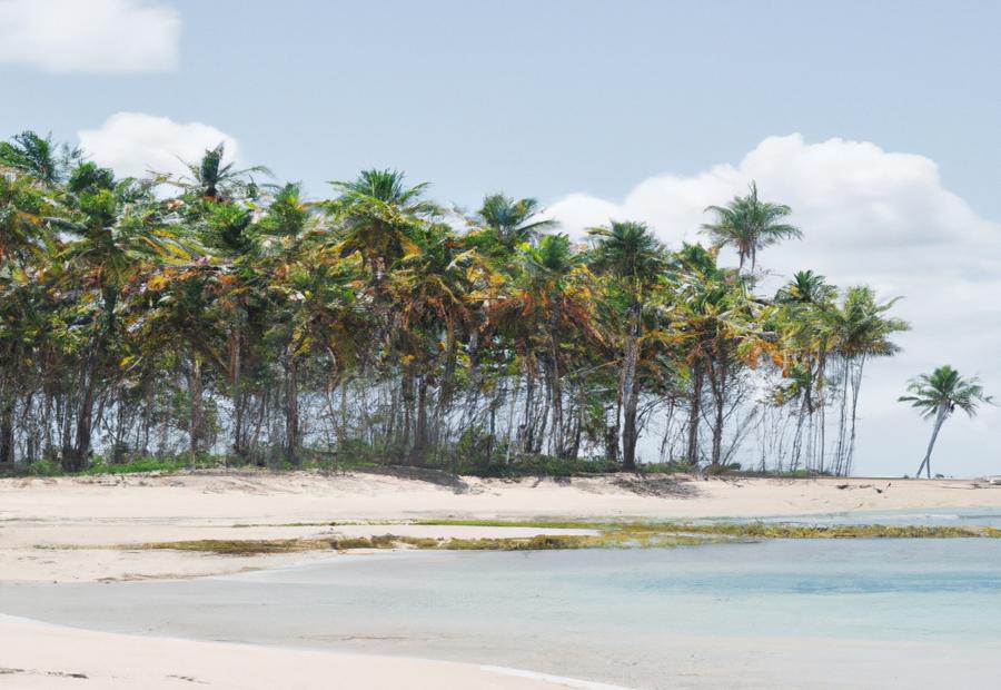 Top beaches in the Dominican Republic 