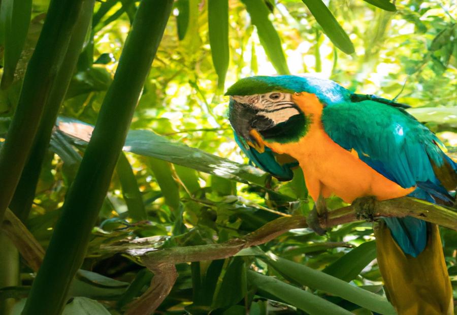 Health Concerns and Conservation Efforts for Macaws 