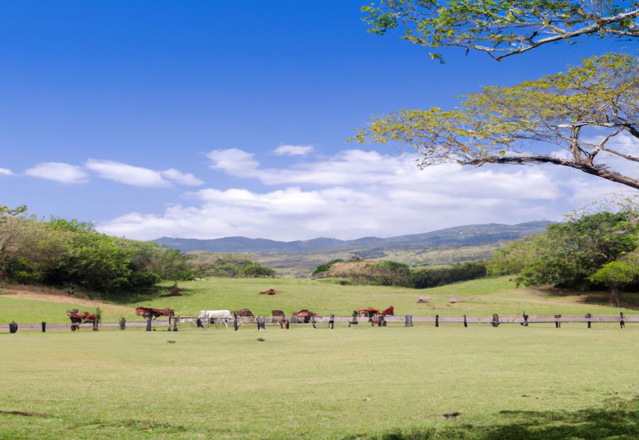 Overview of Property in Rancho Guaraguao, Constanza 