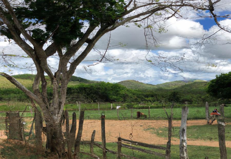 Accommodation Options at Guaraguao Ranch 