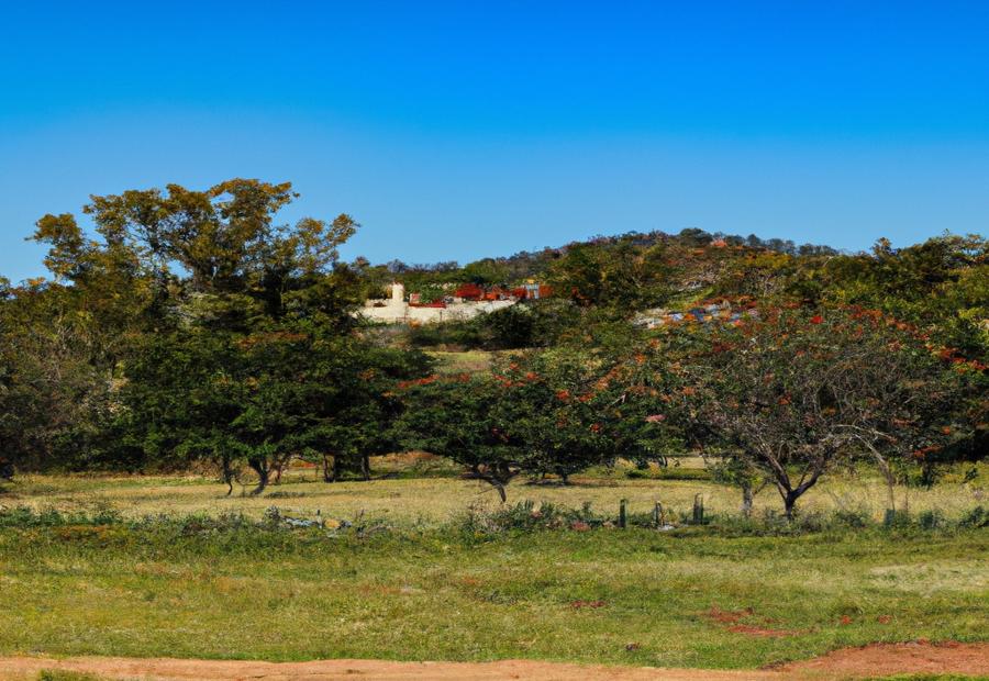 Discover Hacienda Green Field Photos on Shutterstock 