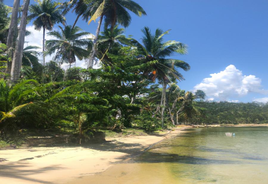 Top 5 Beaches in Las Terrenas: 
