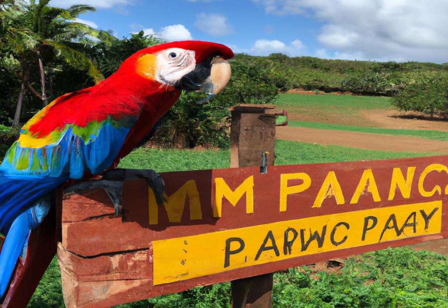 The Beauty of Macaw Lodge: A Visual Gallery 