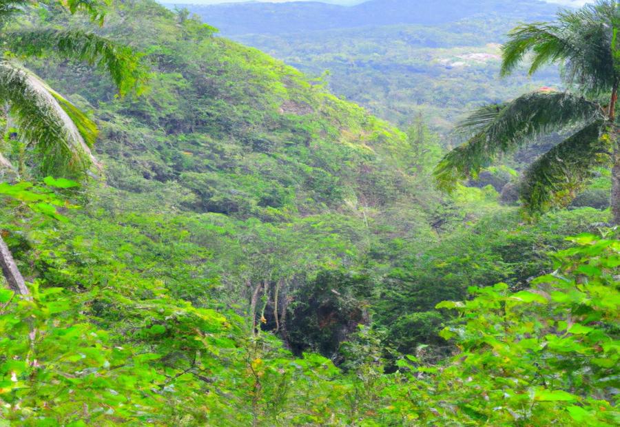 Los Haitises National Park 