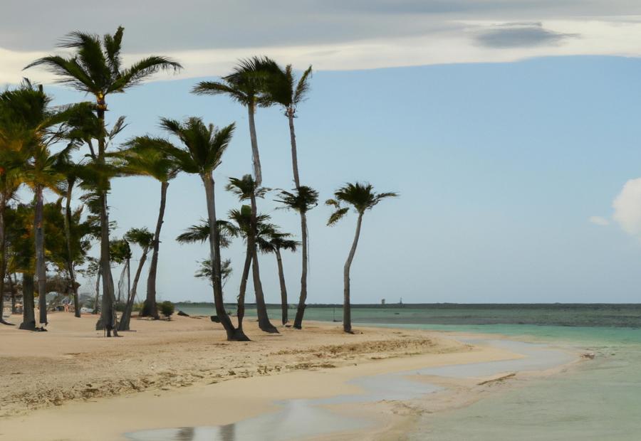 Wedding and Event Services at Riu Bavaro 