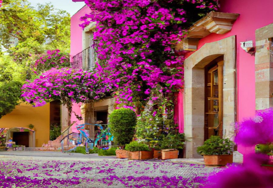 Neighborhoods and Areas to Stay in San Miguel de Allende 