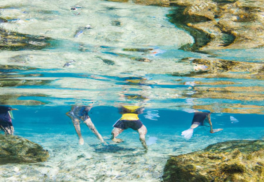 Protecting nature and marine life in Cancun 