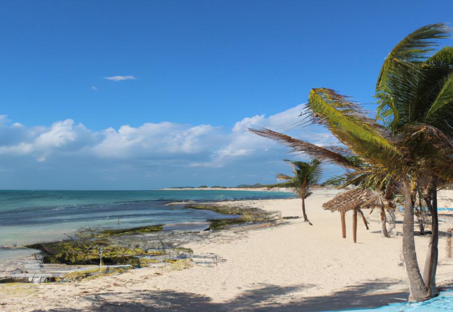 Overview of attractions and activities in Playa Mujeres based on traveler reviews and booking data 
