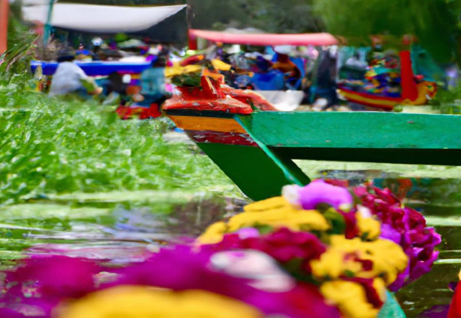 Overview of activities and attractions in Xochimilco 
