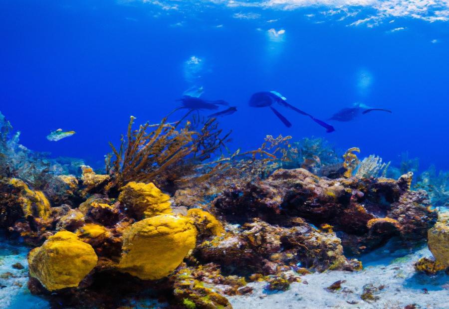 Cozumel: A Top Diving Destination in the Caribbean Sea 